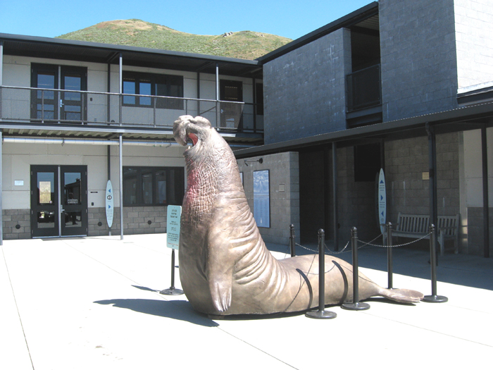 Fort Cronkheit Marine Mammal Center 4-29-11 8